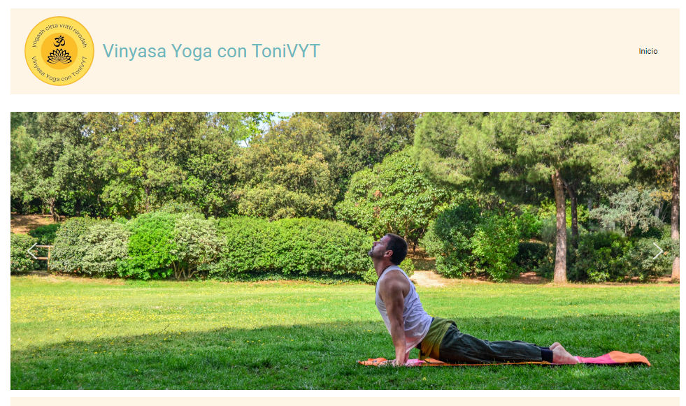 Vinyasa Yoga conToniVYT